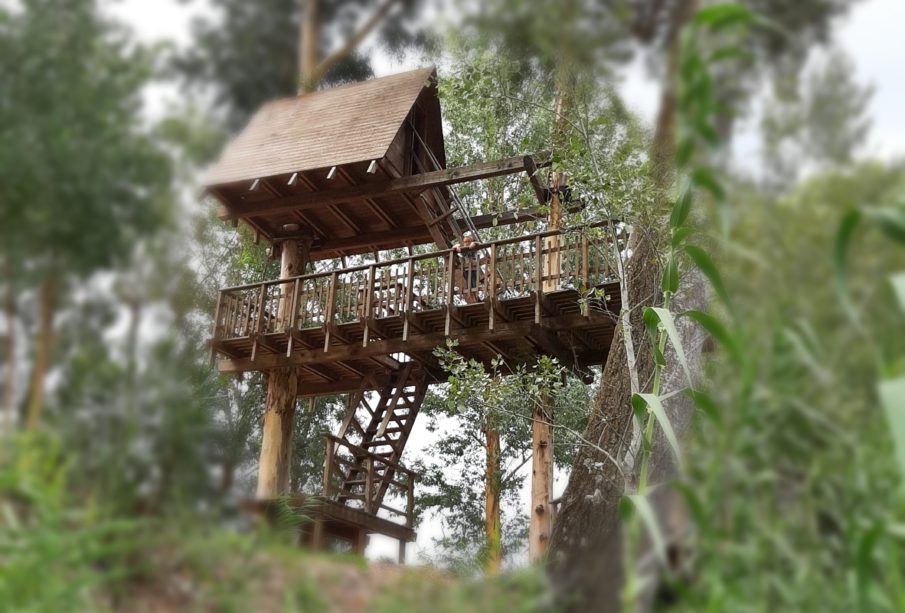 La casa sull'albero di Allai in Sardegna