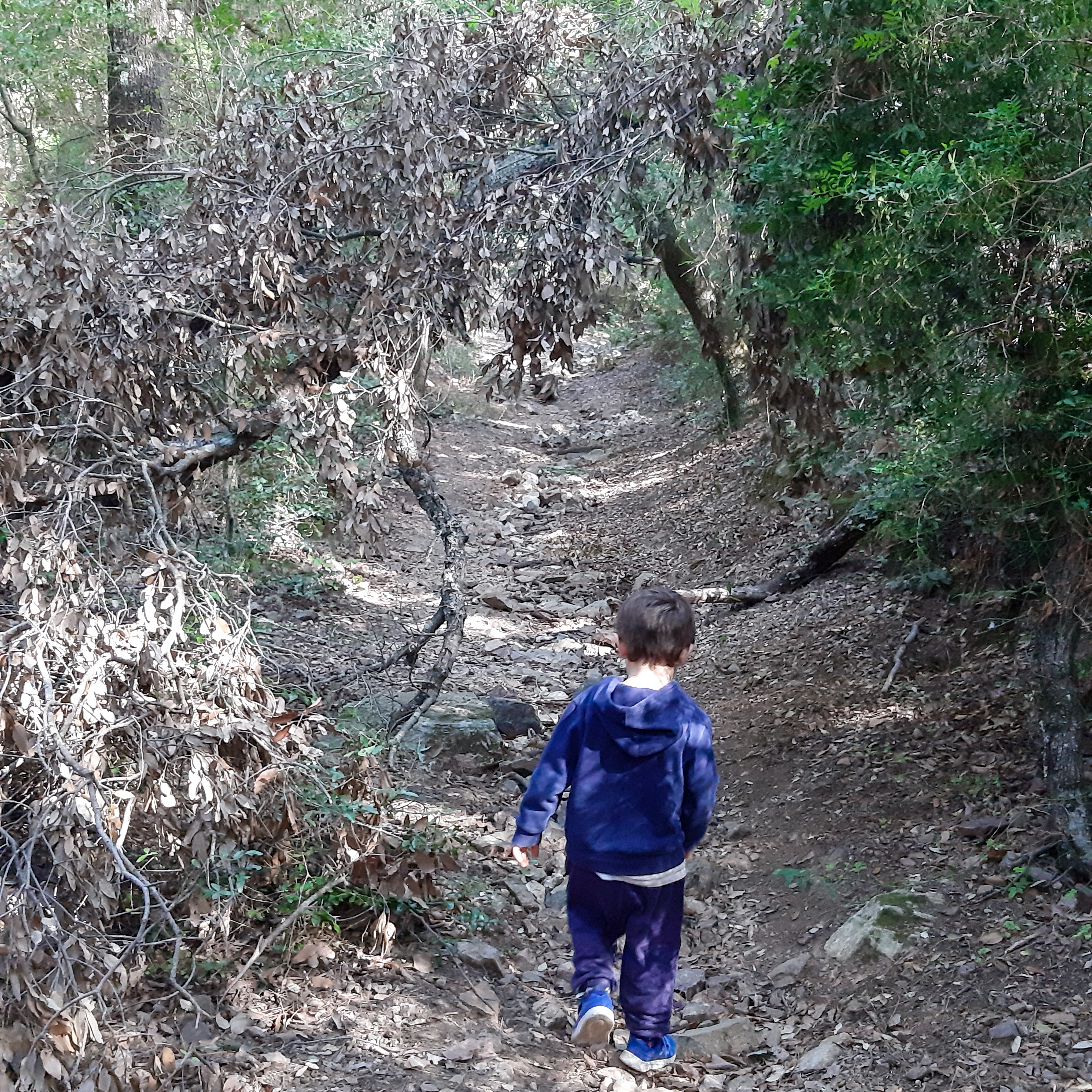 percorso multisensoriale sardegna