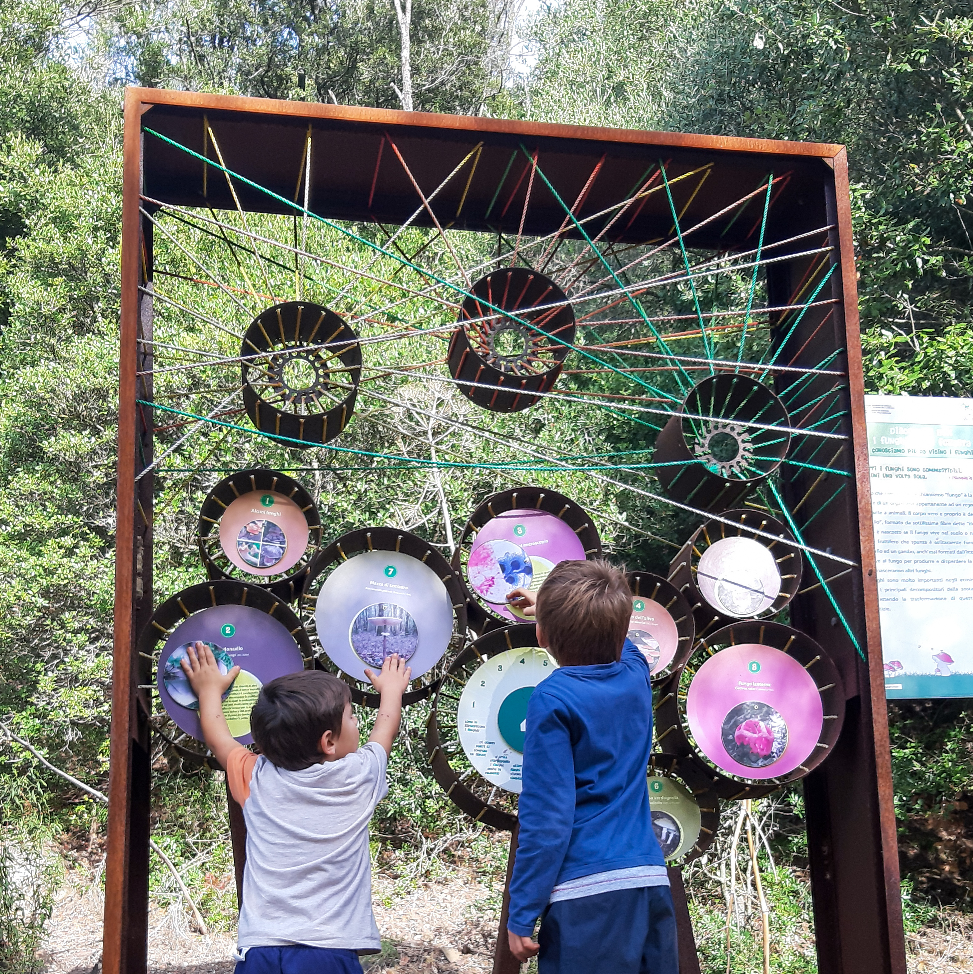 Percorso didattico nel bosco