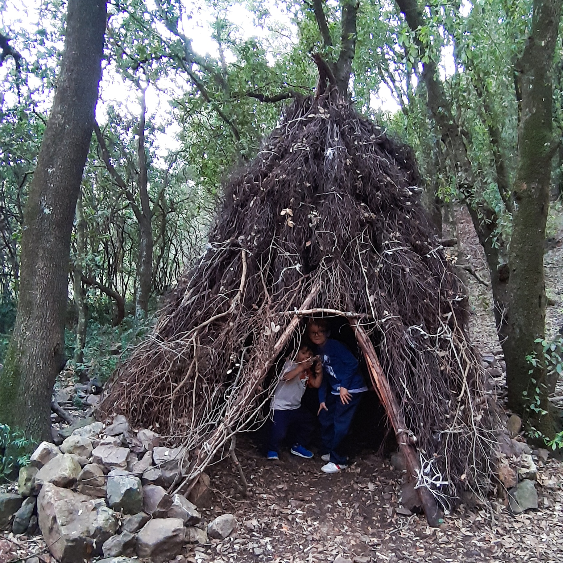 Capanna Foresta del Campidano