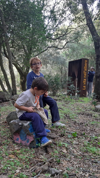 Escursione nei boschi di Cagliari con bambini