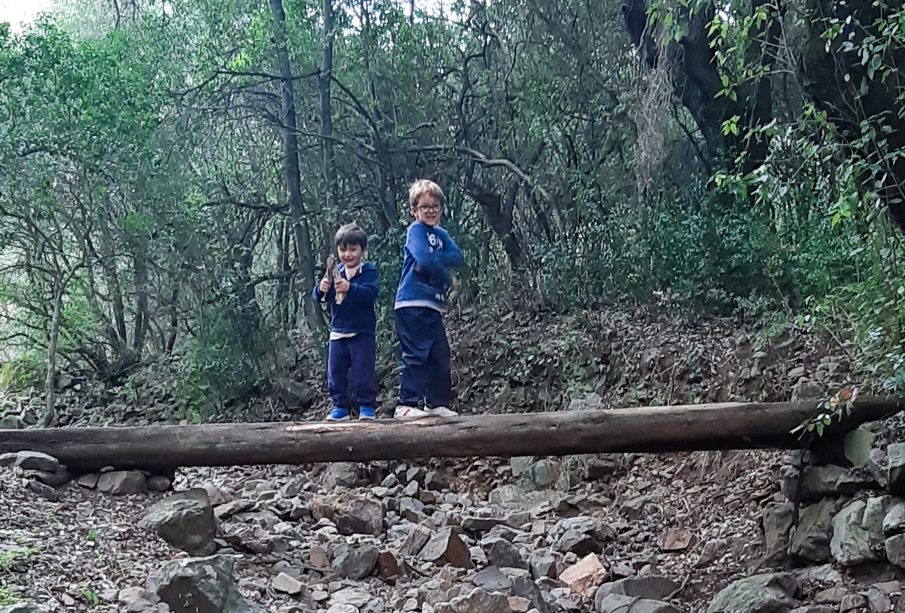 foresta vicino a Cagliari